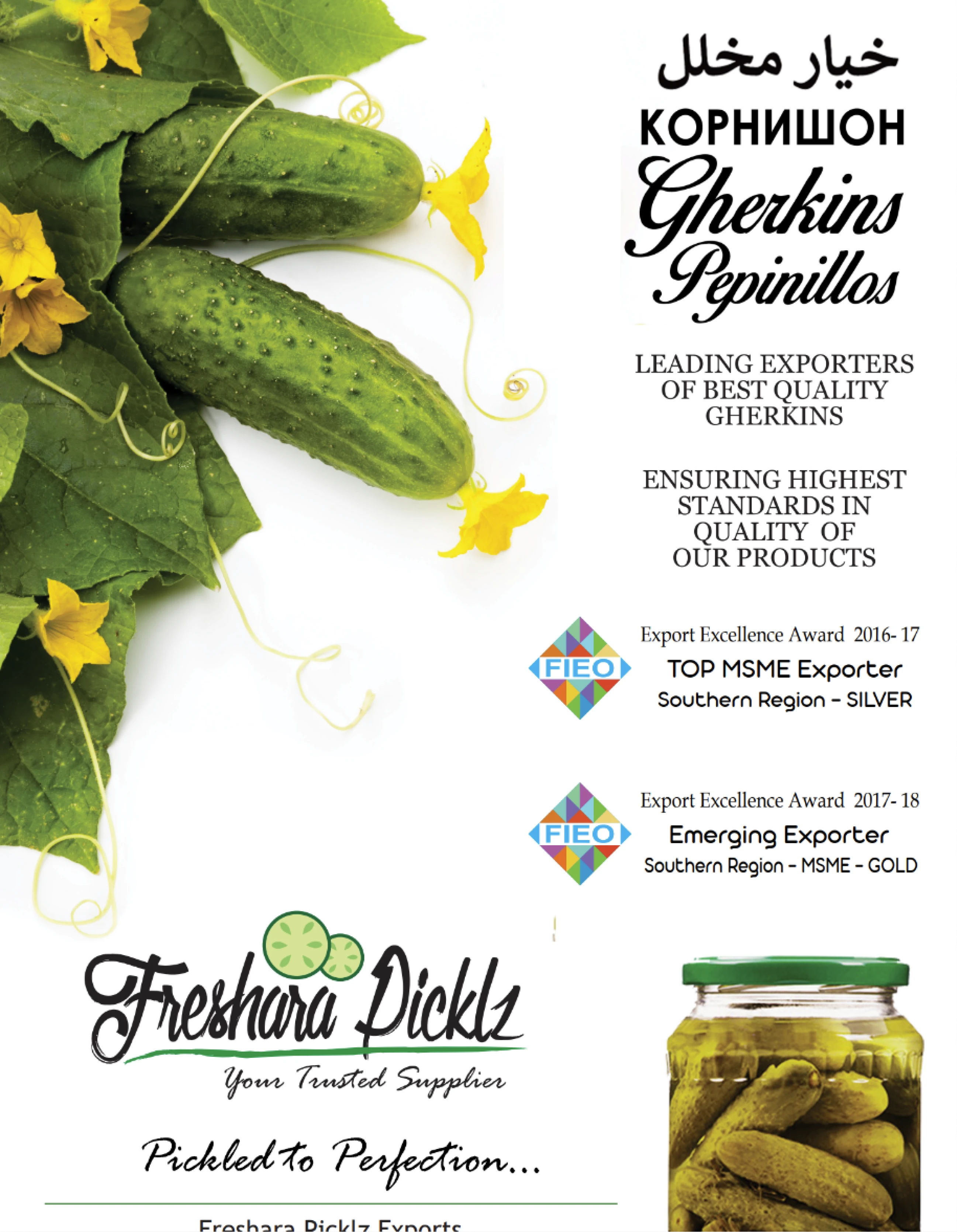 freshara before revamp